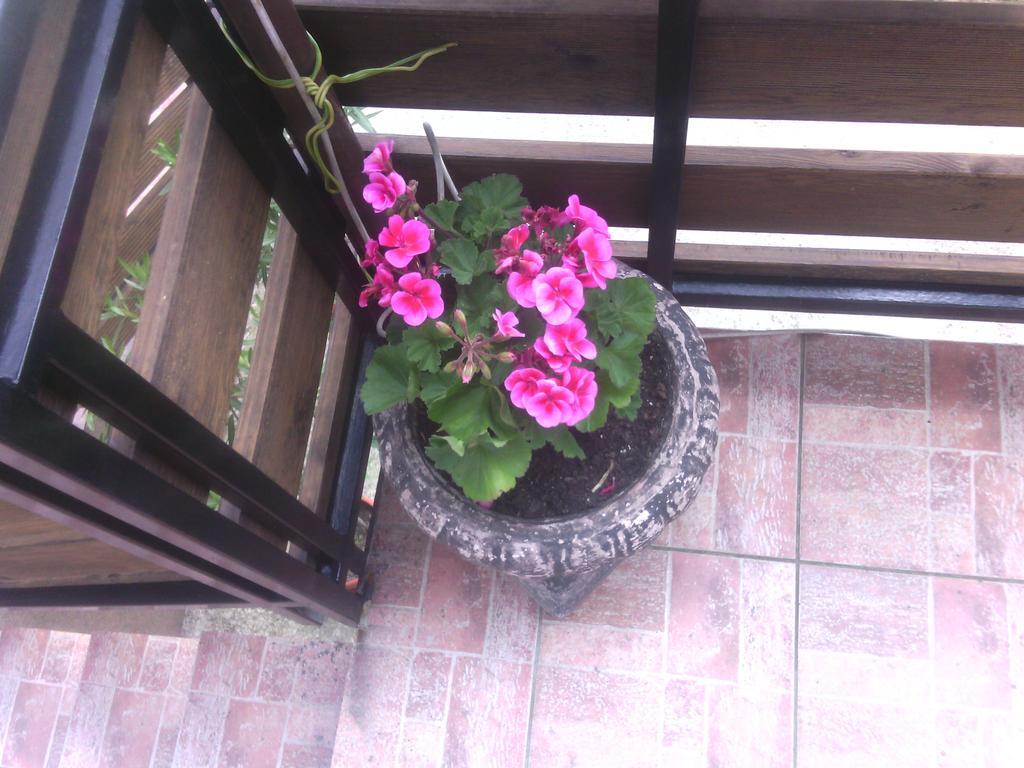 Apartment Ankica Seliste Dreznicko Ruang foto