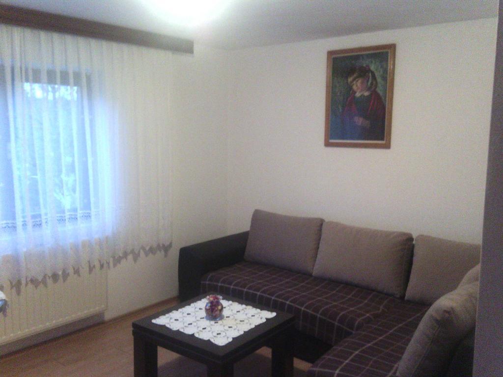 Apartment Ankica Seliste Dreznicko Ruang foto