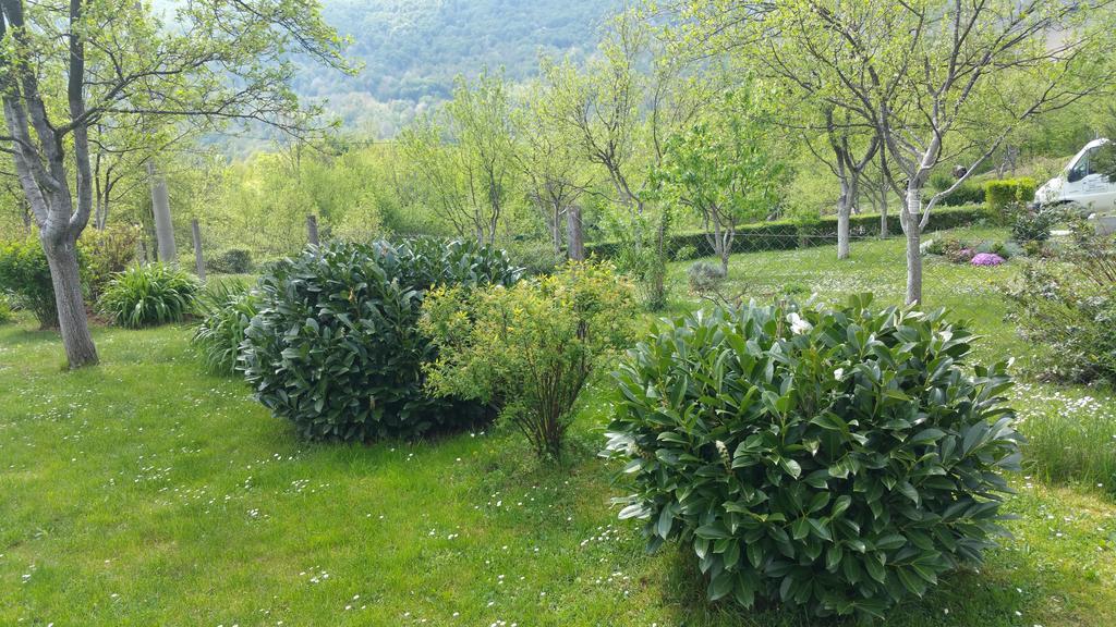 Apartment Ankica Seliste Dreznicko Bagian luar foto