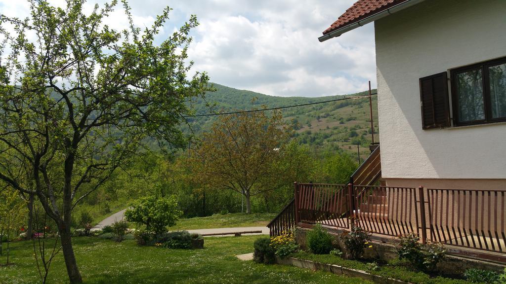 Apartment Ankica Seliste Dreznicko Bagian luar foto