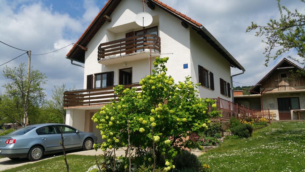 Apartment Ankica Seliste Dreznicko Bagian luar foto