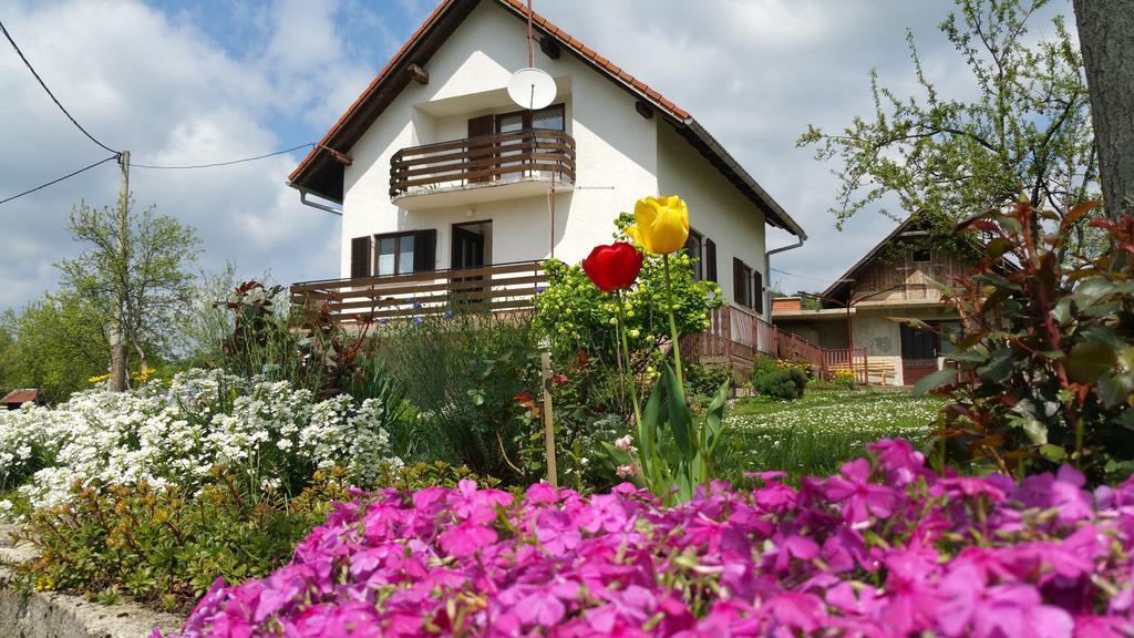 Apartment Ankica Seliste Dreznicko Bagian luar foto