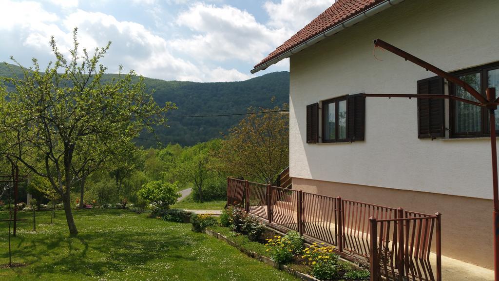 Apartment Ankica Seliste Dreznicko Bagian luar foto
