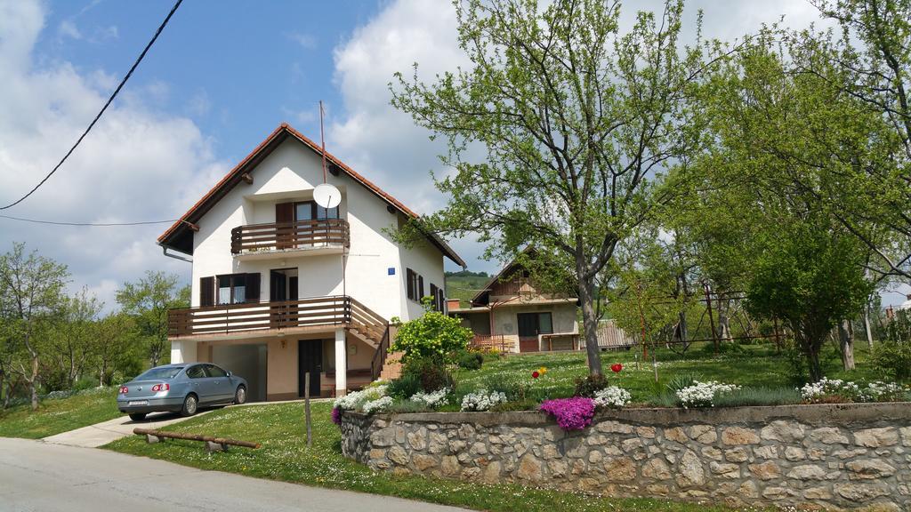 Apartment Ankica Seliste Dreznicko Bagian luar foto