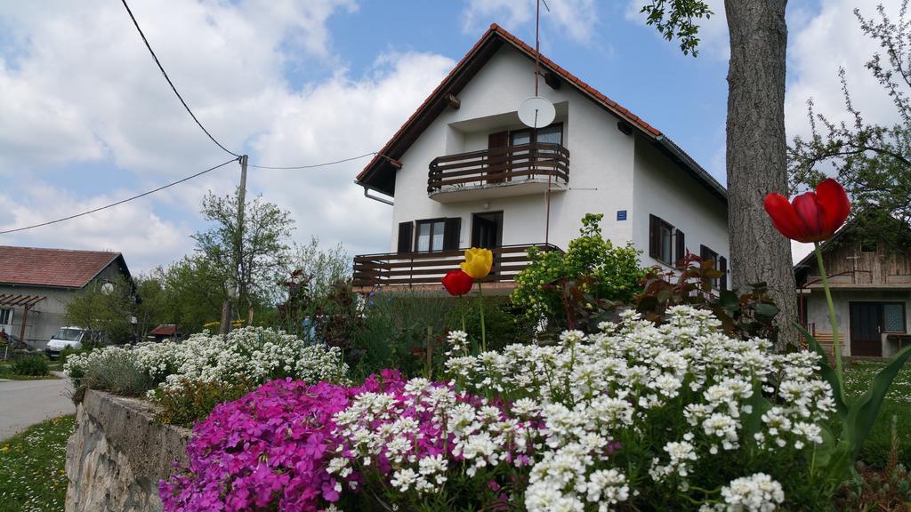 Apartment Ankica Seliste Dreznicko Bagian luar foto
