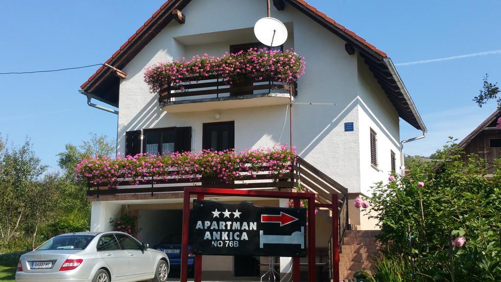 Apartment Ankica Seliste Dreznicko Bagian luar foto