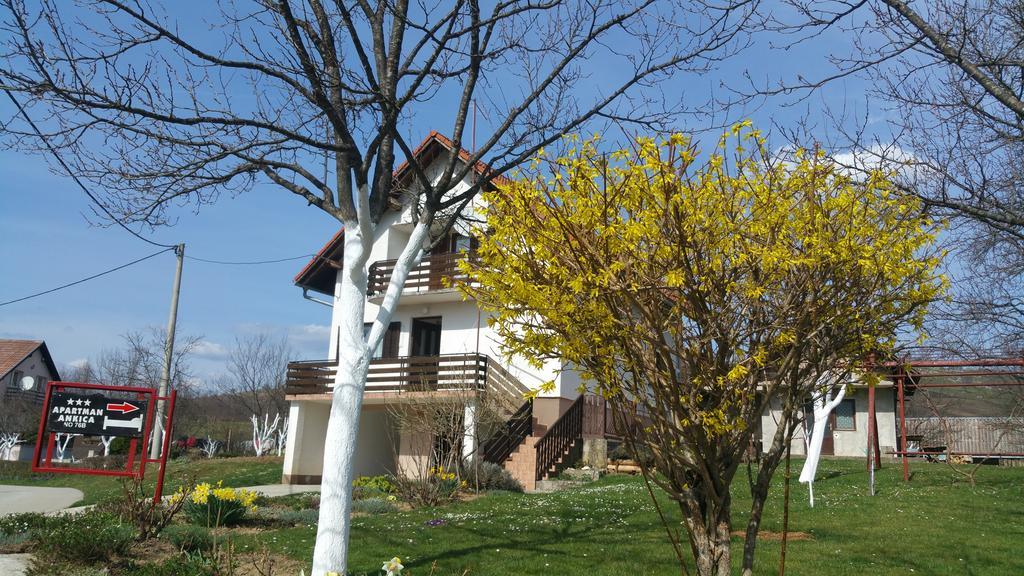 Apartment Ankica Seliste Dreznicko Bagian luar foto