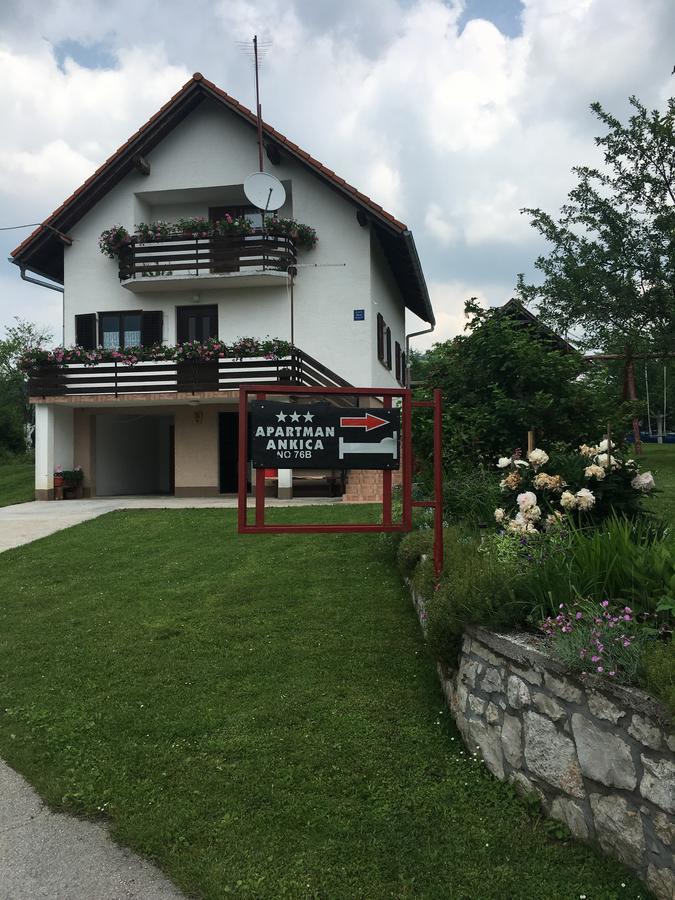 Apartment Ankica Seliste Dreznicko Bagian luar foto