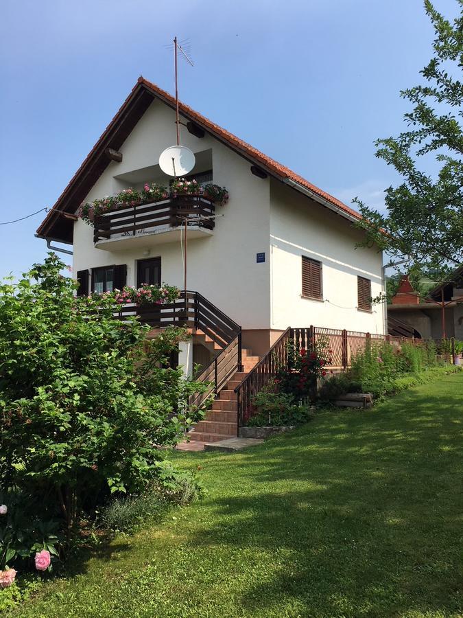 Apartment Ankica Seliste Dreznicko Bagian luar foto