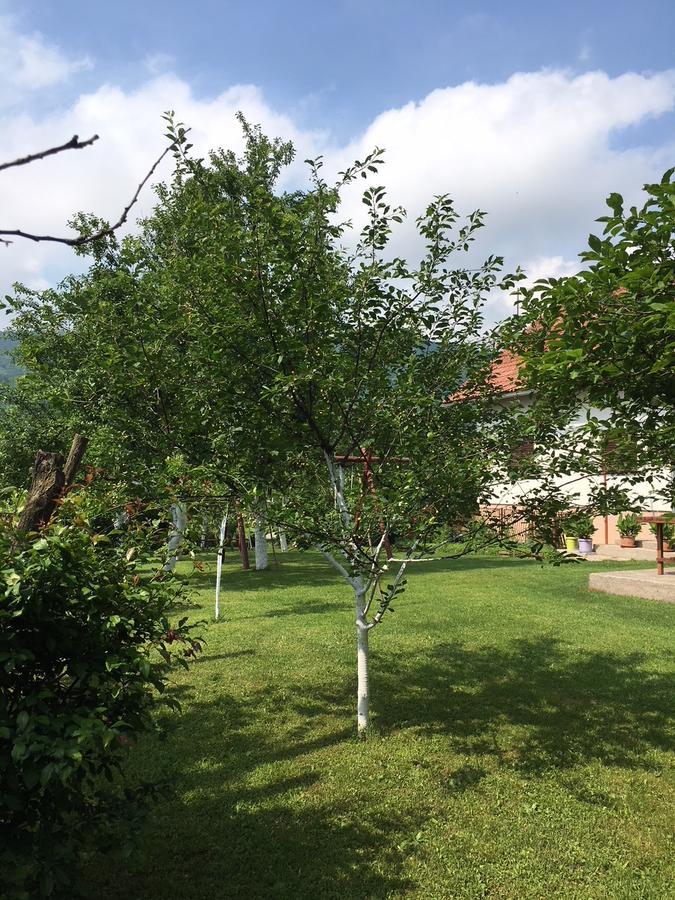 Apartment Ankica Seliste Dreznicko Bagian luar foto