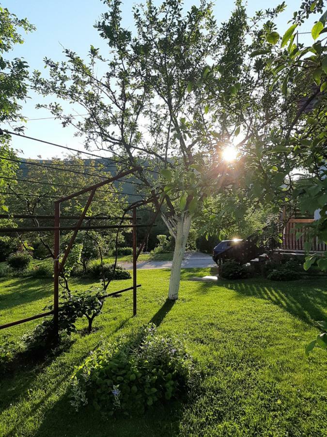 Apartment Ankica Seliste Dreznicko Bagian luar foto