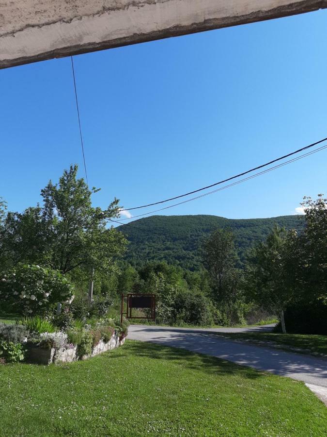 Apartment Ankica Seliste Dreznicko Bagian luar foto