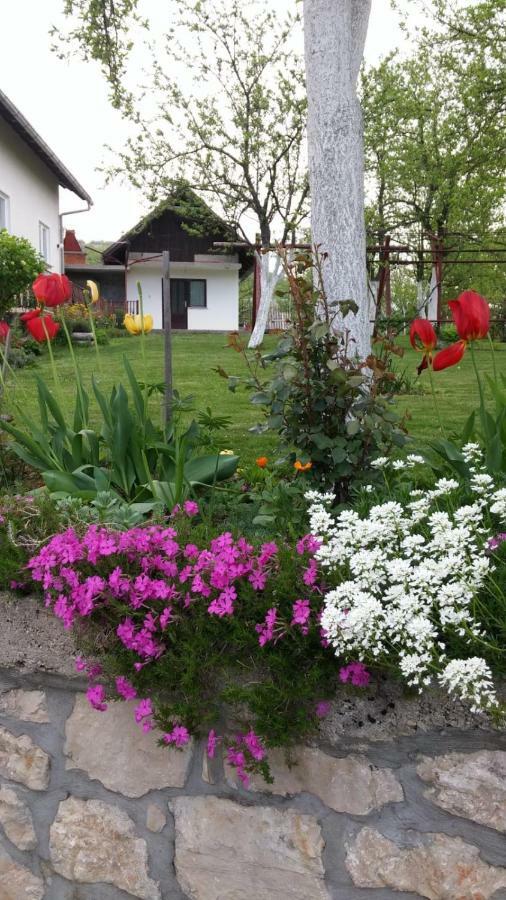 Apartment Ankica Seliste Dreznicko Bagian luar foto