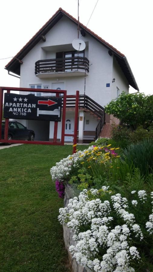 Apartment Ankica Seliste Dreznicko Bagian luar foto