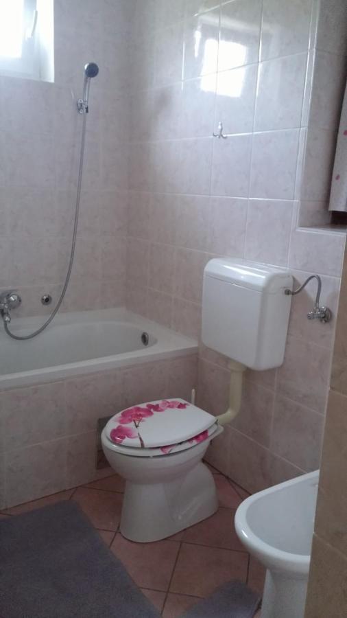 Apartment Ankica Seliste Dreznicko Bagian luar foto