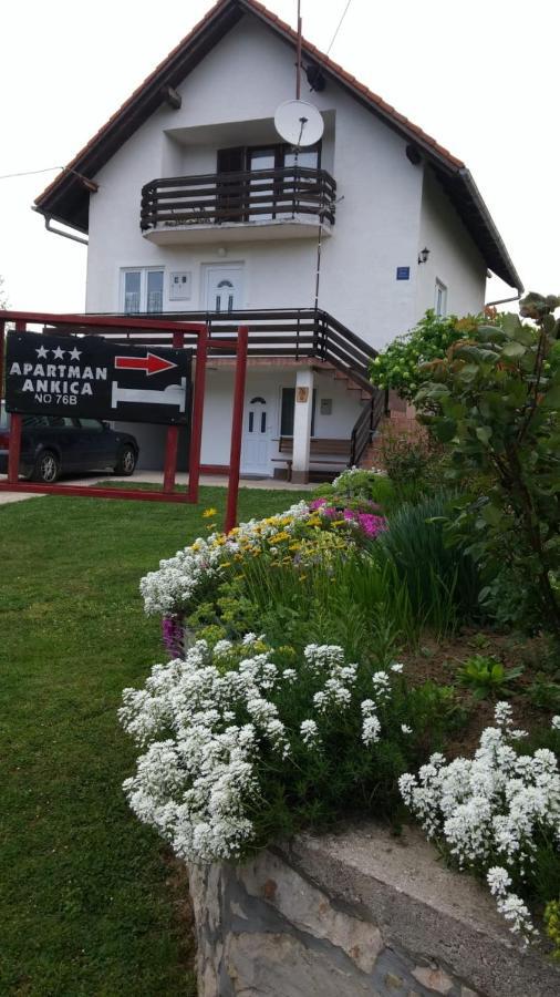 Apartment Ankica Seliste Dreznicko Bagian luar foto