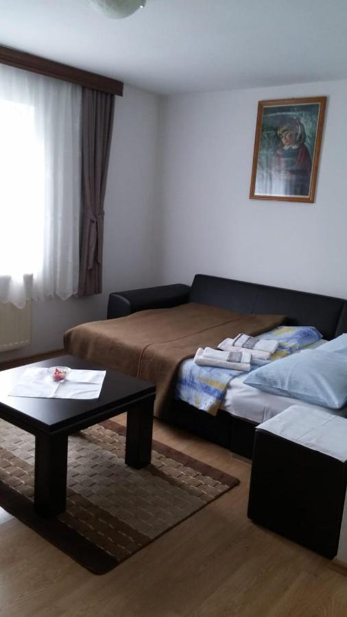 Apartment Ankica Seliste Dreznicko Bagian luar foto